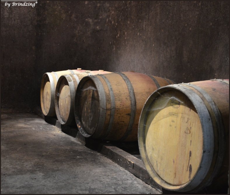 reserve_by_brindzing-d6mfhwo